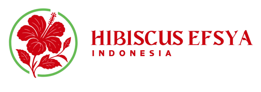 Hibiscus Efsya Logo